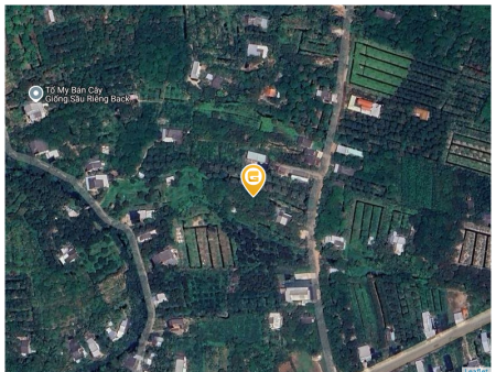 Bán đất 2000m² 4 tỷ tại Xã Sơn Định Huyện Chợ Lách