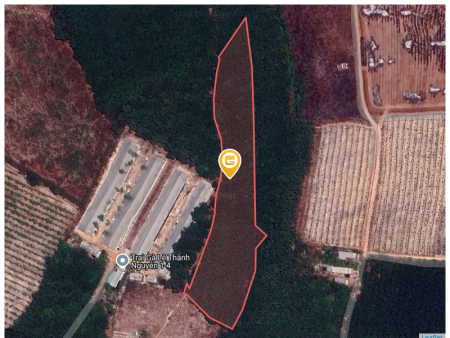 Bán đất 5359,1m² 5.3 tỷ tại Xã Long Nguyên Huyện Bàu Bàng
