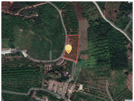 Bán đất 3298m² 1.5 tỷ tại Phường Bến Tắm Thị xã Chí Linh 0342951991