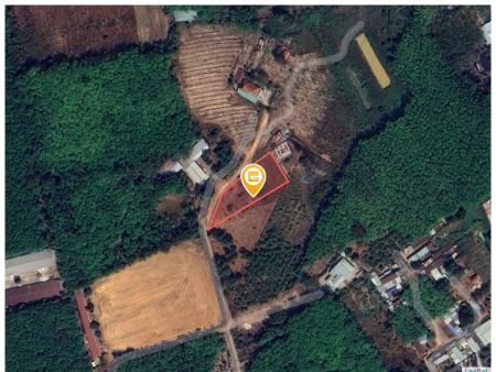 Bán đất 1958.3m² 2.9 tỷ tại Xã Long Nguyên Huyện Bàu Bàng