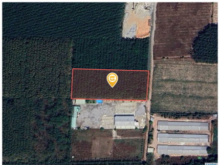 Bán đất 10149.6m² 13 tỷ tại Xã Long Nguyên Huyện Bàu Bàng