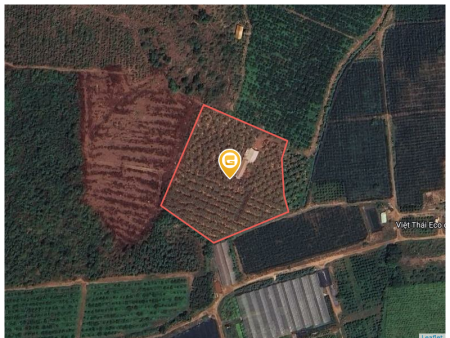 Bán đất 12378.9m² 7.5 tỷ tại Xã Hiếu Liêm Huyện Bắc Tân Uyên