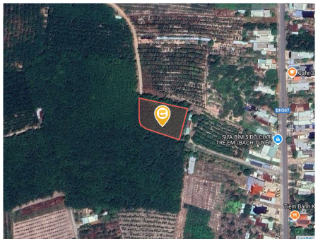 Bán đất 2950.7m² 580 triệu tại Xã An Thái Huyện Phú Giáo