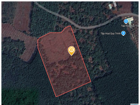 Bán đất 2000m² 430 triệu tại Xã Thuận Phú Huyện Đồng Phú