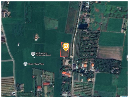 Bán đất 1353.6m² tại Xã Hướng Thọ Phú Thành phố Tân An
