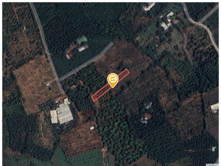 Bán đất 1000.6m² tại Xã Phú Túc Huyện Định Quán