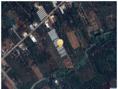 Bán đất 1000m² giá 500 triệu tại Xã Lộc Đức Huyện Bảo Lâm