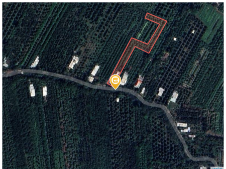 Bán đất vườn cây ăn trái lâu năm 3700m² tại Xã Mỹ Lợi A Huyện Cái Bè (sầu riêng, mận, bưởi,...)