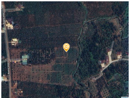 Bán đất 100-1000m² giá 200 triệu tại Xã Lộc Đức Huyện Bảo Lâm