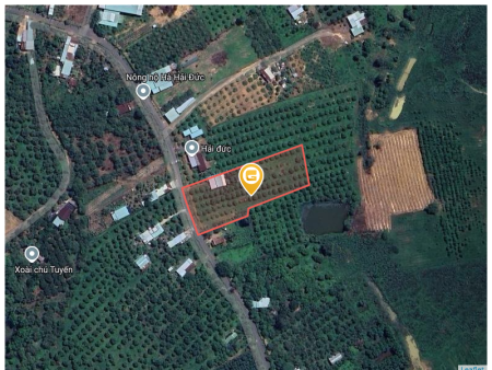 Bán đất 4000m² giá 4 tỷ tại Xã Phú Lý Huyện Vĩnh Cửu