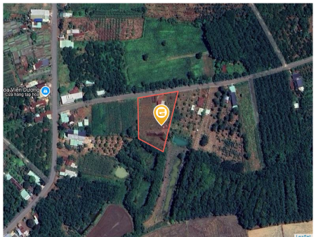 Bán đất 36070m² ngang 120m giá 13 tỷ tại Xã Hưng Phước Huyện Bù Đốp