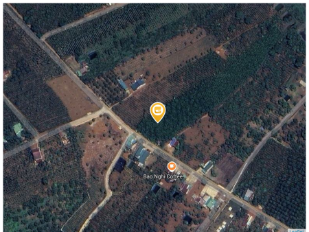 Bán đất 1000m² ngang 5m giá 1.5 tỷ tại Xã Lộc An Huyện Bảo Lâm