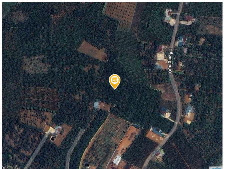 Bán đất 600m² ngang 15m giá 900 triệu tại Xã Lộc Đức Huyện Bảo Lâm