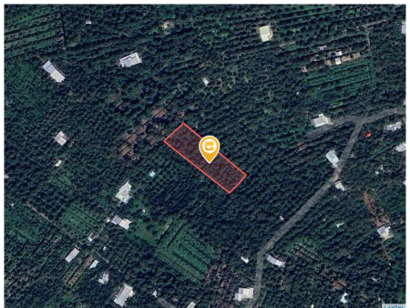 Bán đất 2725m² Huyện Cai Lậy