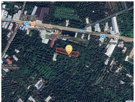Bán đất 995.1m² Huyện Cai Lậy