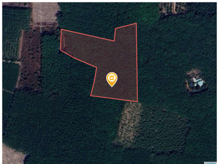 Bán đất 2250m² ngang 50m giá 890 triệu tại Xã Thành Tâm Thị xã Chơn Thành