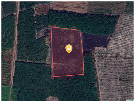 Bán đất 2250m² ngang 50m giá 890 triệu tại Xã Thành Tâm Thị xã Chơn Thành