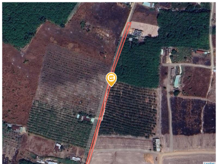 Bán đất 2250m² ngang 50m giá 890 triệu tại Xã Thành Tâm Thị xã Chơn Thành