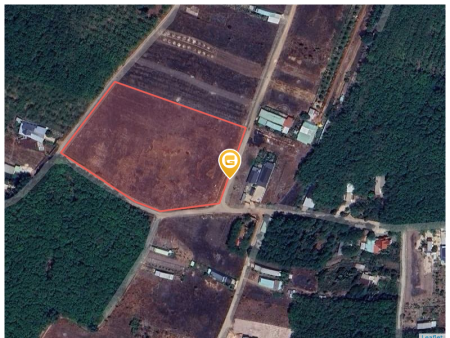 Bán đất 2250m² ngang 50m giá 890 triệu tại Xã Thành Tâm Thị xã Chơn Thành