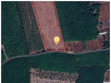 Bán đất 26550.8m² ngang 50m giá 890 triệu tại Xã Thành Tâm Thị xã Chơn Thành