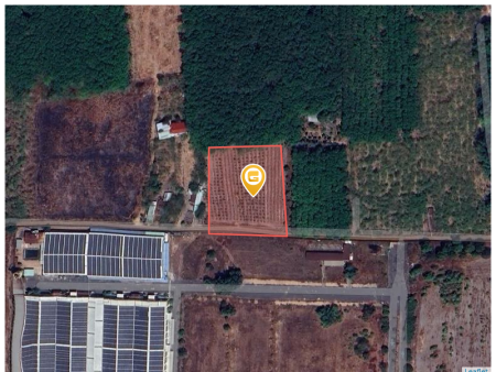 Bán đất 2250m² ngang 50m giá 890 triệu tại Xã Thành Tâm Thị xã Chơn Thành