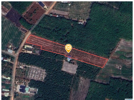 Bán đất 2250m² ngang 50m giá 890 triệu tại Xã Thành Tâm Thị xã Chơn Thành