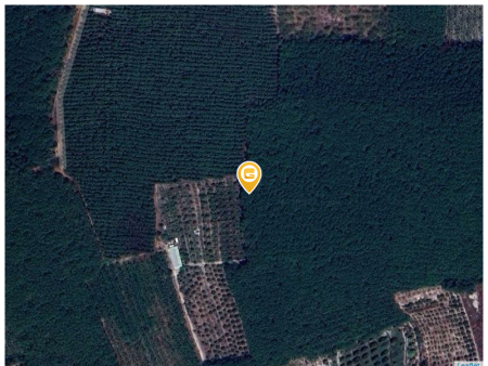 Bán đất 2250m² ngang 50m giá 890 triệu tại Xã Minh Long Thị xã Chơn Thành