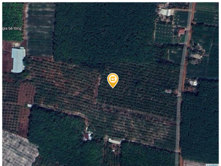 Bán đất 2250m² ngang 50m giá 890 triệu tại Xã Minh Long Thị xã Chơn Thành