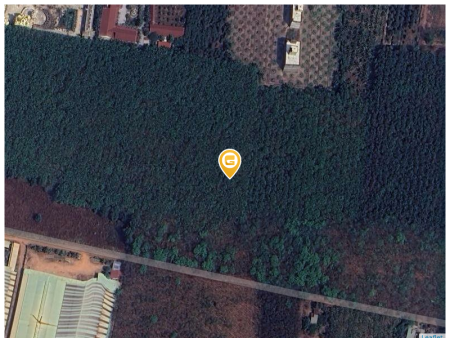 Bán đất 2250m² ngang 50m giá 890 triệu tại Xã Minh Long Thị xã Chơn Thành