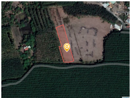 Bán đất 8134.2m² giá 10 tỷ tại Thị trấn Tân Phú Huyện Đồng Phú