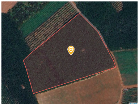 Bán đất 1000m² ngang 10m giá 600 triệu tại Xã Tân Lập Huyện Đồng Phú