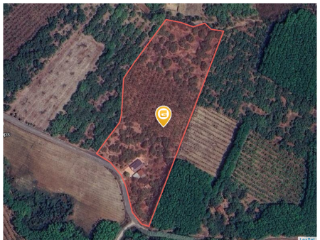 Bán đất 250m² ngang 5m giá 375 triệu tại Xã Tân Phước Huyện Đồng Phú