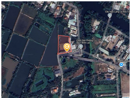 Bán đất 2573m² ngang 50m giá 11 tỷ tại Xã Bình Lợi Huyện Bình Chánh