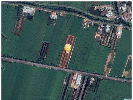 Bán đất 21650m² tại Xã Tân Phú Trung Huyện Châu Thành