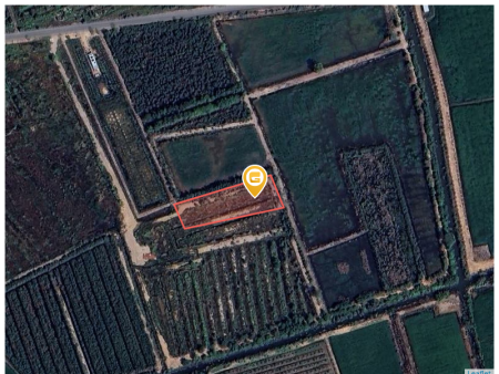 Bán đất 2711m² giá 800 triệu tại Xã Mỹ Thạnh Đông Huyện Đức Huệ