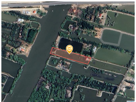 Bán đất 3300m² tại Xã Tân Trung Huyện Đầm Dơi