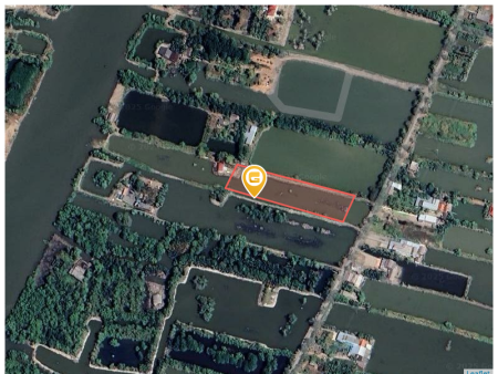 Bán đất 2959.5m² tại Xã Tân Trung Huyện Đầm Dơi