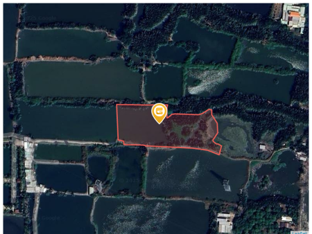 Bán đất 5400m² giá 17.82 tỷ tại Xã Bình Hưng Huyện Bình Chánh