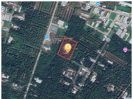 Bán đất 3237m² tại Phường Phú Khương Thành phố Bến Tre
