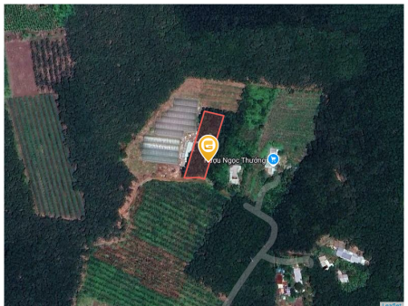 Bán đất 1738.7m² tại Xã An Bình Huyện Phú Giáo