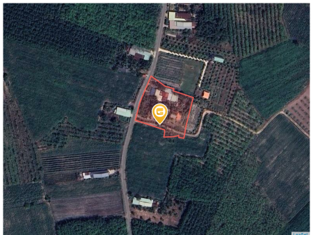 Bán đất 4806m² tại Xã Phan Huyện Dương Minh Châu