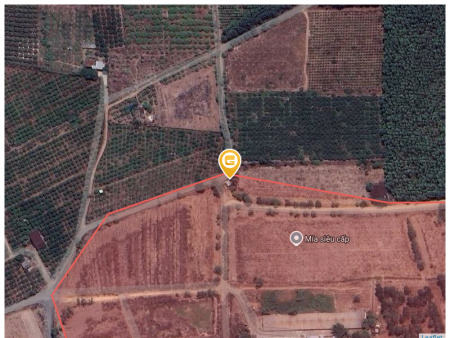 Bán đất 300000m² ngang 3000m giá 400 tỷ tại Xã Bông Trang Huyện Xuyên Mộc
