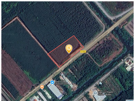 Bán đất 6266.6m² ngang 115m giá 25 tỷ tại Xã Thạnh Lợi Huyện Bến Lức