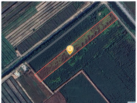 Bán đất 10916.5m² ngang 340m giá 11 tỷ tại Xã Thạnh Lợi Huyện Bến Lức