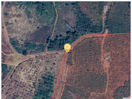 Bán đất 1900000m² ngang 2000m giá 19.5 tỷ tại Xã Trường Xuân Huyện Đắk Song