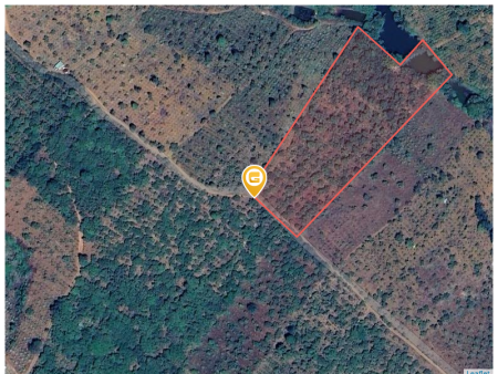 Bán đất 14000m² ngang 100m giá 1.4 tỷ tại Xã Đăk R'Moan Thị xã Gia Nghĩa LH 0968194133
