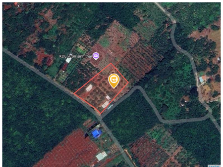 Bán nhà 5656.8m² giá 5.65 tỷ tại Xã An Khương Huyện Hớn Quản