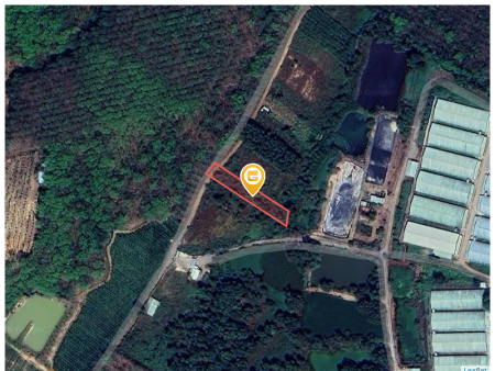 Bán đất 1126.3m² ngang 13m giá 1.9 tỷ tại Xã Tân Định Huyện Bắc Tân Uyên