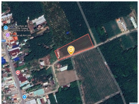 Bán đất 5136.4m² ngang 5 x 32m giá 600 triệu tại Xã An Linh Huyện Phú Giáo