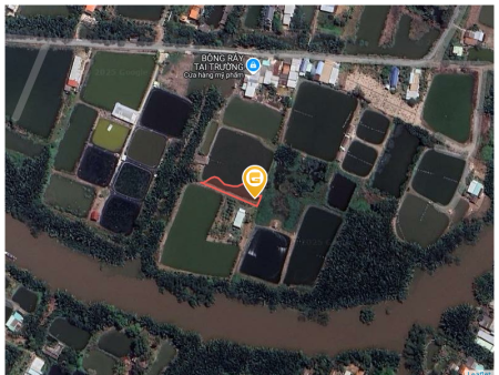 Bán đất 571.8m² tại Xã Phước Vĩnh Đông Huyện Cần Giuộc
